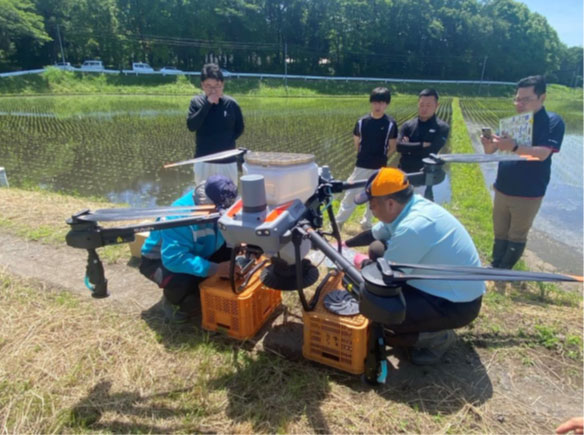ドローン直播による低コスト生産技術（茨城県　令和6年度）