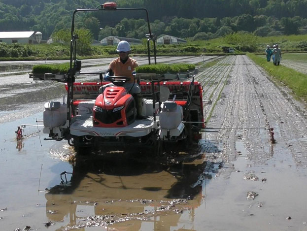 ペースト肥料を用いた二段施肥田植機実演会の開催（山形県大蔵村）