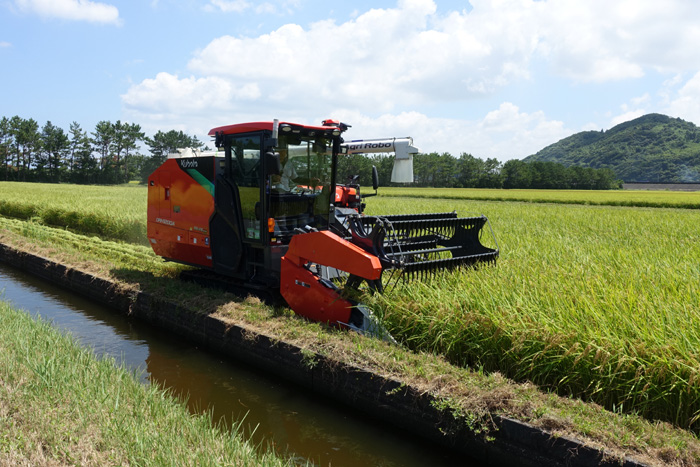 再生二期作水稲の収穫作業を実施（鹿児島県南さつま市）