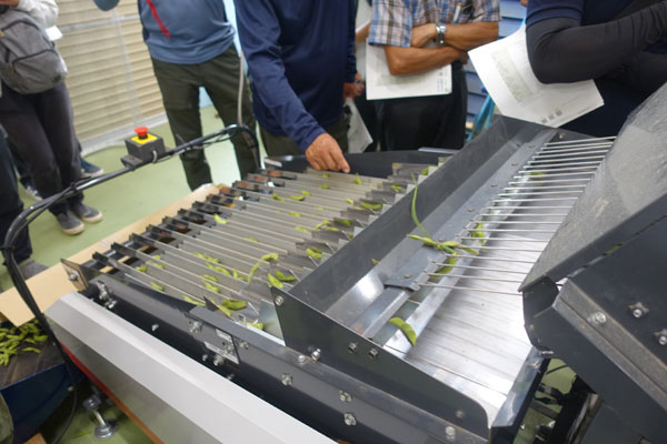 えだまめの新型選別機実演会の開催（秋田県横手市）