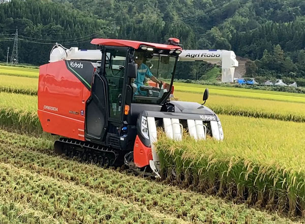 「雪若丸」の収穫作業を実施（山形県大蔵村）